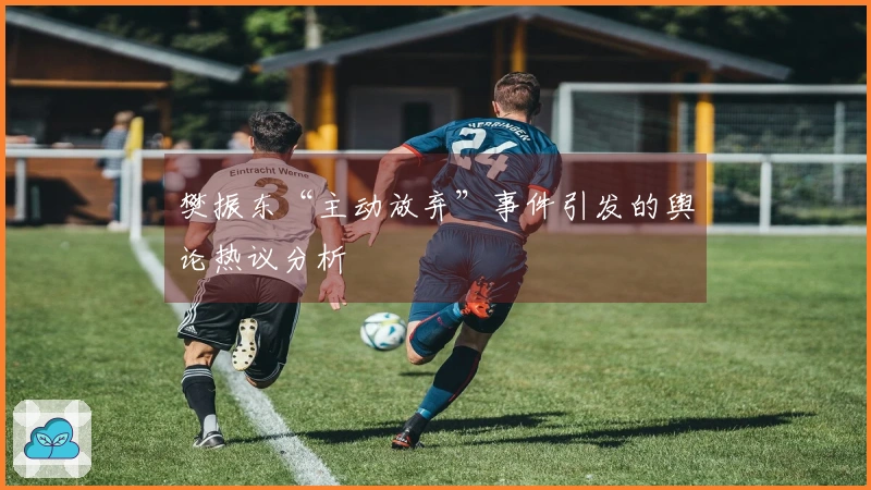 樊振东“主动放弃”事件引发的舆论热议分析